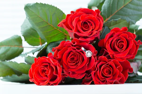 Natürliche rote Rosen — Stockfoto