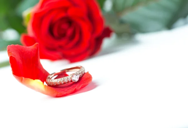 Όμορφο κόκκινο τριαντάφυλλο — Φωτογραφία Αρχείου