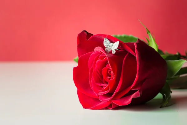 Gyönyörű piros rózsa — Stock Fotó
