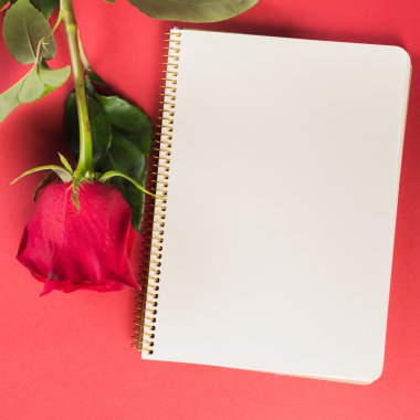 Not Defteri ile kırmızı gül