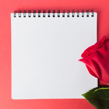 Not Defteri ile kırmızı gül
