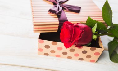 Hediye ile kırmızı gül