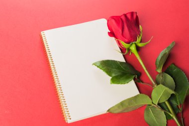 Not Defteri ile kırmızı gül