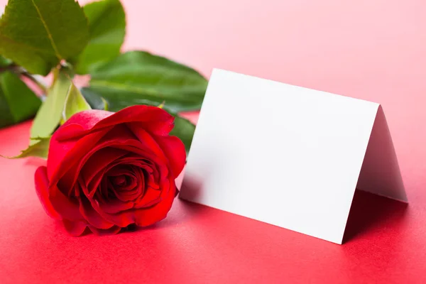 Red rose with card — Stock Photo, Image