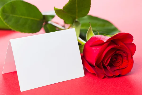 Red rose with card — Stock Photo, Image