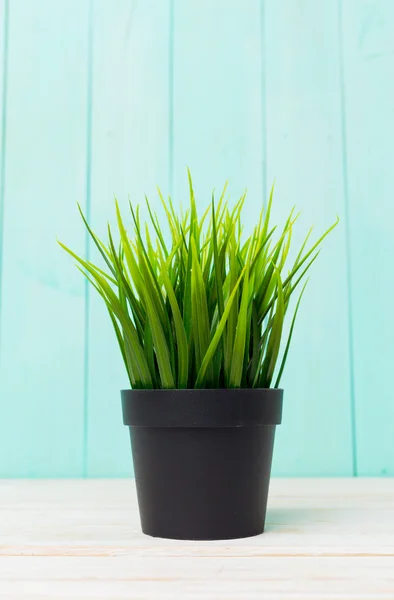 Vaso di fiori stile minimalismo — Foto Stock