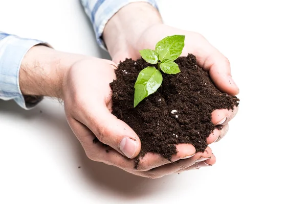 Manos sosteniendo tierra y planta — Foto de Stock