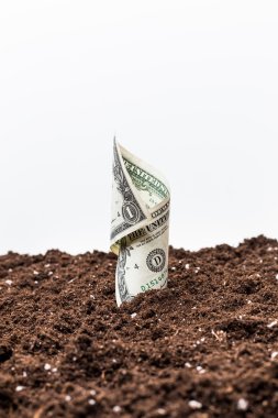 Amerikan Doları sıfırdan büyümek