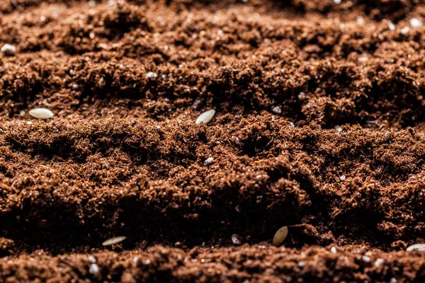 Tekstur tanah makro — Stok Foto