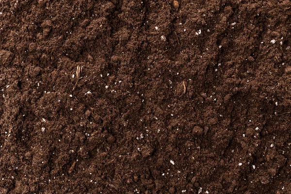 Brown coffee powder texture extreme closeup photo — Stock Photo, Image