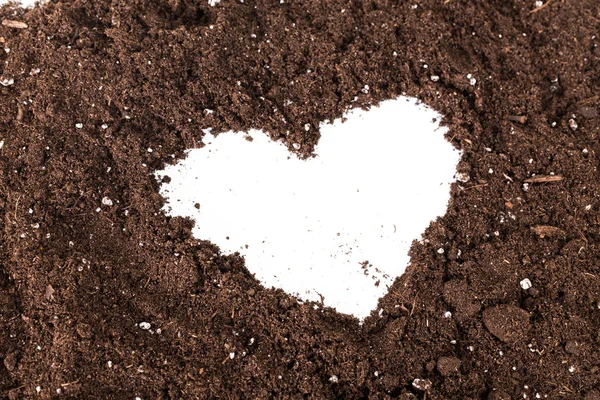 Έδαφος καφέ με λευκό καρδιά μοτίβο — Φωτογραφία Αρχείου