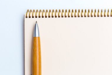 Tükenmez kalem ve defter