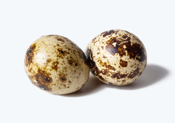 Φρέσκο ορτύκια αυγά — Φωτογραφία Αρχείου