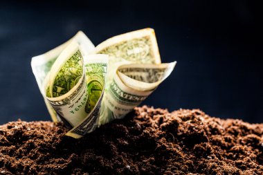 Amerikan Doları sıfırdan büyümek 