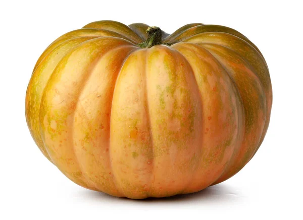 Estudio de una calabaza aislada sobre fondo blanco — Foto de Stock