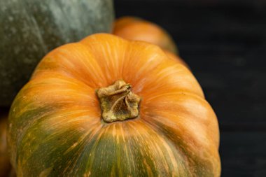 Balkabağı kuyruğunun yakın plan fotoğrafı.