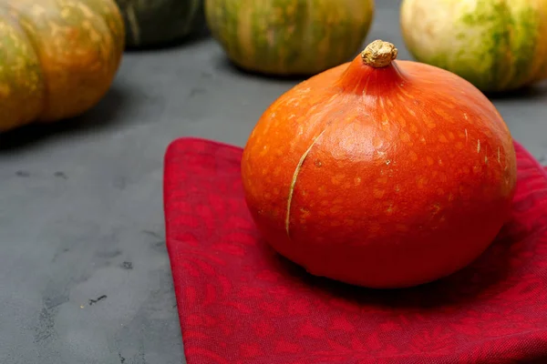 Photo rapprochée de la citrouille sur la table de cuisson sombre — Photo