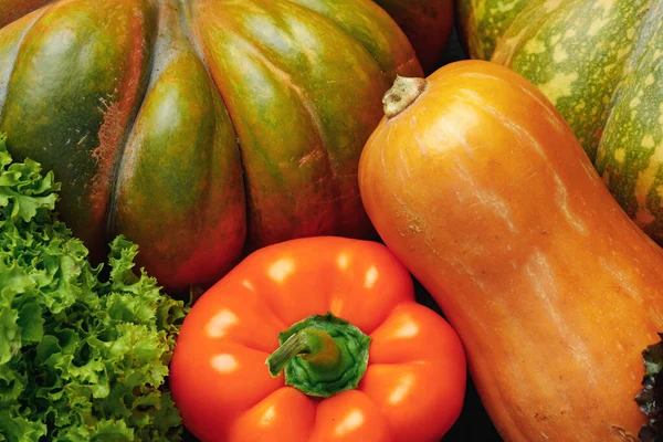 Close up of pumpkins and bell peppers in pile Royalty Free Stock Images