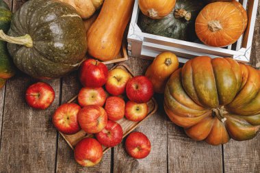 Ahşap arka planda balkabakları ve kırmızı elmalar