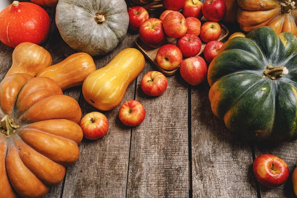 Fundo de outono colorido com abóboras e maçãs — Fotografia de Stock