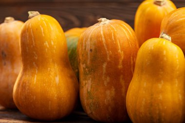 Koyu ahşap arka planda farklı kabak çeşitleri.