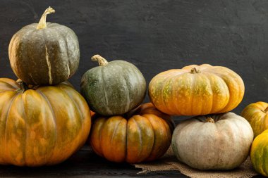 Koyu ahşap arka planda farklı kabak çeşitleri.