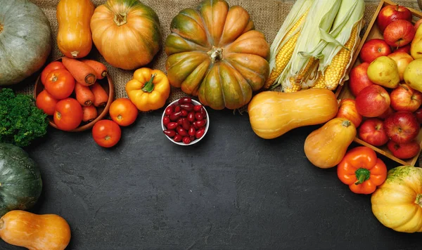 Περικοπή των φθινοπωρινών λαχανικών κολοκύθας, ντομάτες, καρότα, κλπ σε μαύρο φόντο — Φωτογραφία Αρχείου