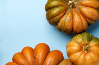 Mavi pastel arkaplan görünümlü küçük balkabakları