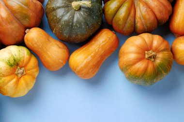 Mavi arkaplanda farklı renk balkabakları kümesi