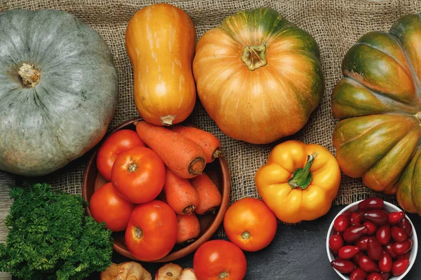 Ποικιλία λαχανικών όπως κολοκύθα, ντομάτες και πιπεριές σε μαύρο φόντο — Φωτογραφία Αρχείου