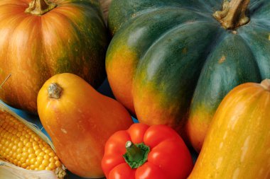 Yığınla balkabağı ve dolma biber.