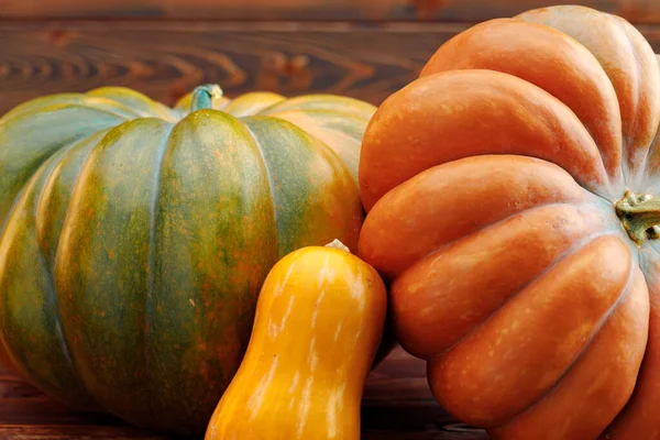 Calabazas coloridas sobre fondo de madera marrón vista frontal — Foto de Stock