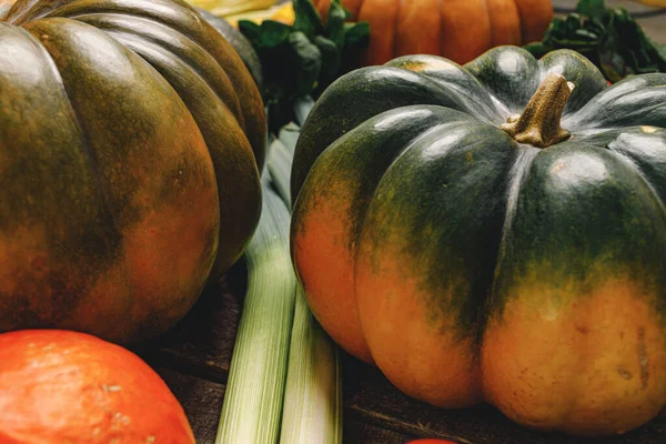 Primer plano de calabaza grande con cola —  Fotos de Stock