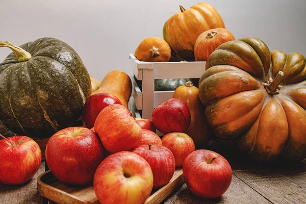 Kürbisse und rote Äpfel auf Holzgrund — Stockfoto