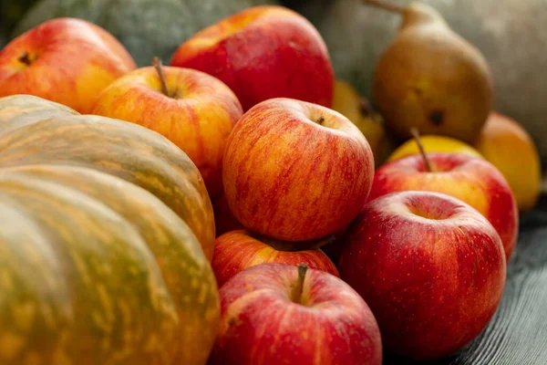 Συγκομιδή κολοκύθας, μήλων και αχλαδιών κοντά — Φωτογραφία Αρχείου