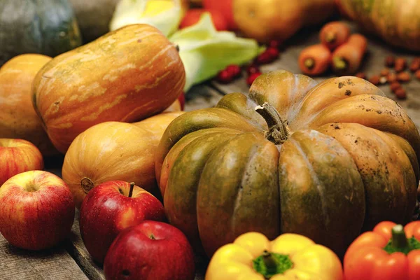 El primer plano de hortalizas dispersas de la calabaza, la pimienta y las manzanas —  Fotos de Stock