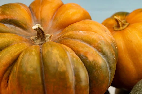 Background of a lot of colorful pumpkins — Stock Photo, Image