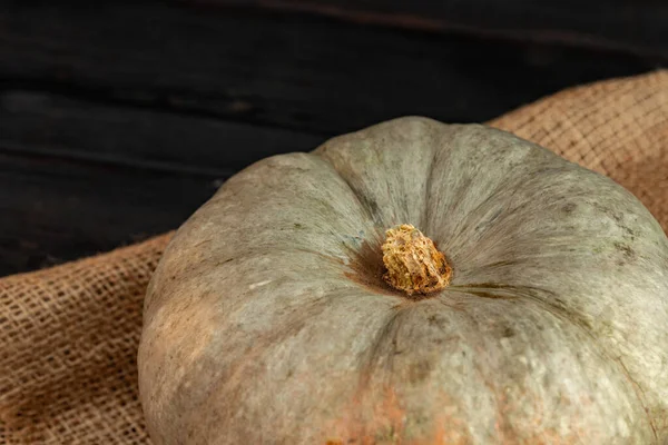 Balkabağı kuyruğunun yakın plan fotoğrafı.
