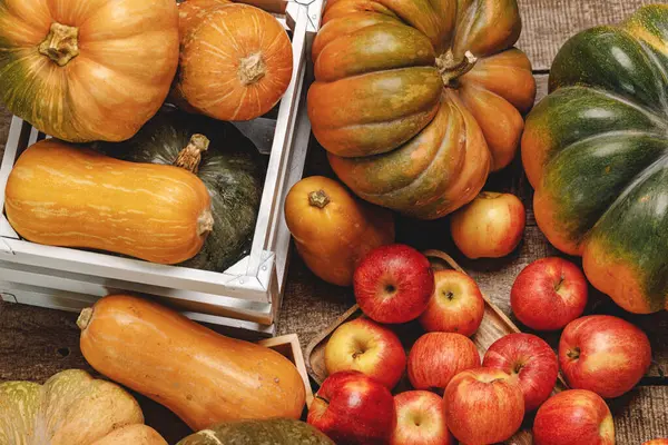 Осенний сбор тыкв и яблок на деревянной доске — стоковое фото