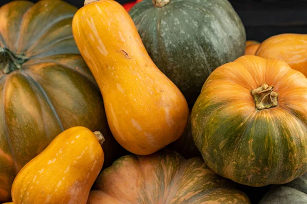 Fondo de una gran cantidad de calabazas de colores —  Fotos de Stock