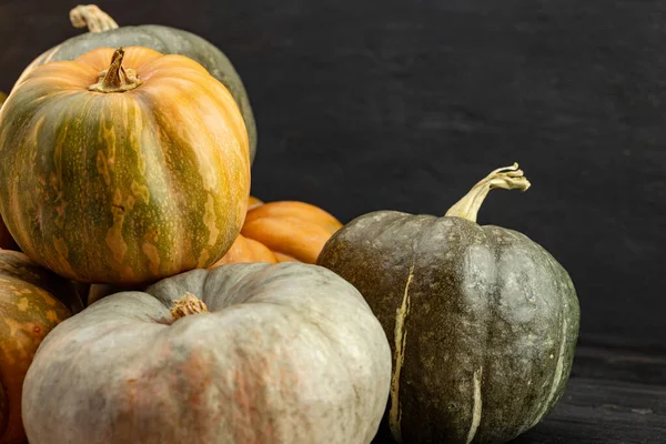 Surtido de diferentes calabazas sobre fondo de madera oscura —  Fotos de Stock