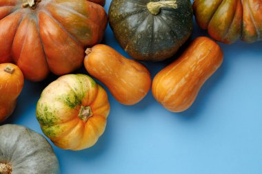 Mavi arkaplanda farklı renk balkabakları kümesi