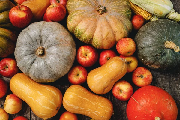 Kürbisse und rote Äpfel auf Holzgrund — Stockfoto