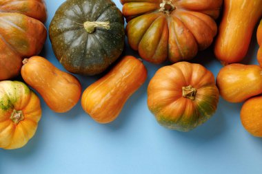 Mavi arkaplanda farklı renk balkabakları kümesi