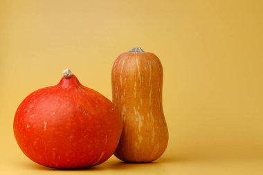 Sarı arkaplan görünümlü turuncu balkabağı