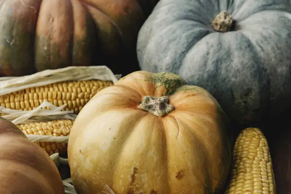 Fondo de otoño tonificado de calabazas y maíz —  Fotos de Stock