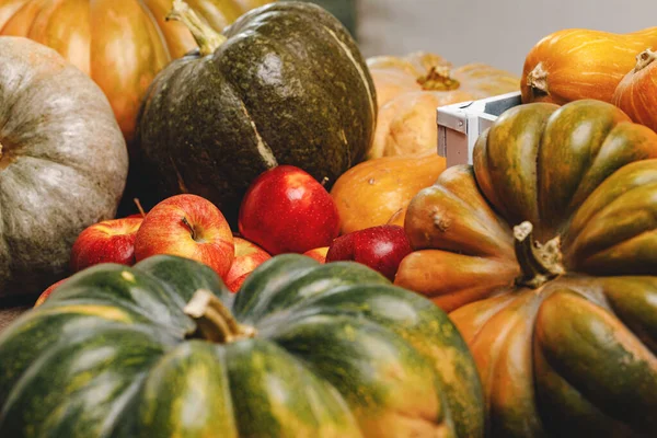 Осенний сбор тыкв и яблок на деревянной доске — стоковое фото