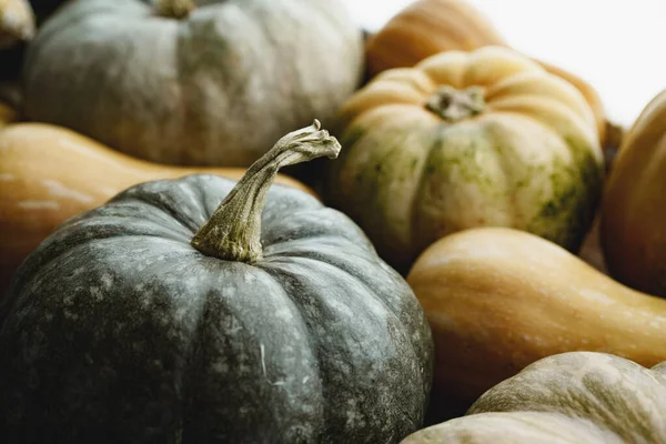 Tonad höst bakgrund med hög av pumpor — Stockfoto