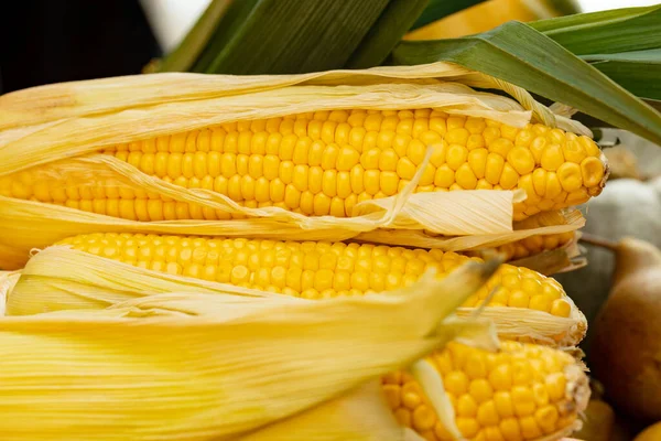 Primer plano de espigas de maíz en la mesa de la cocina — Foto de Stock