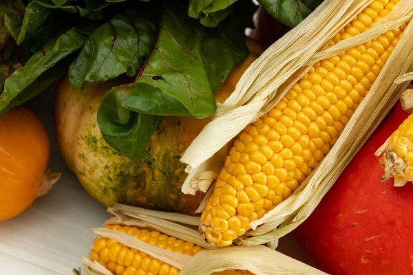 Calabazas y mazorca de maíz de cerca — Foto de Stock